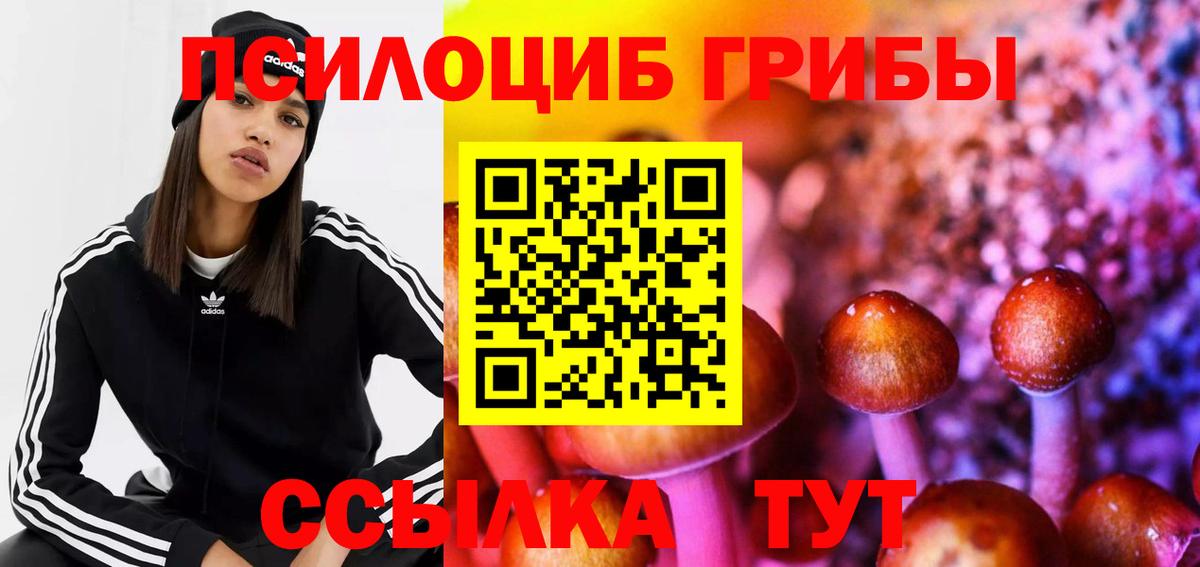 купить закладку  Вход с VPN  Шарыпово  Галлюциногенные грибы Psilocybine cubensis 