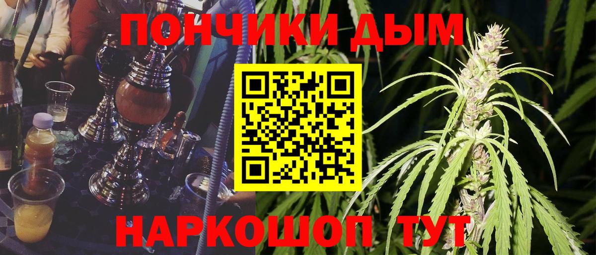 Бошки Шишки Amnesia Шарыпово